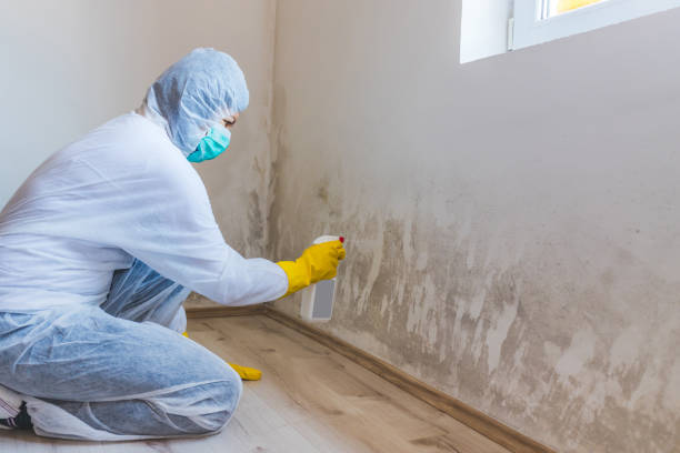 Mold Remediation specialist working in Merion Station